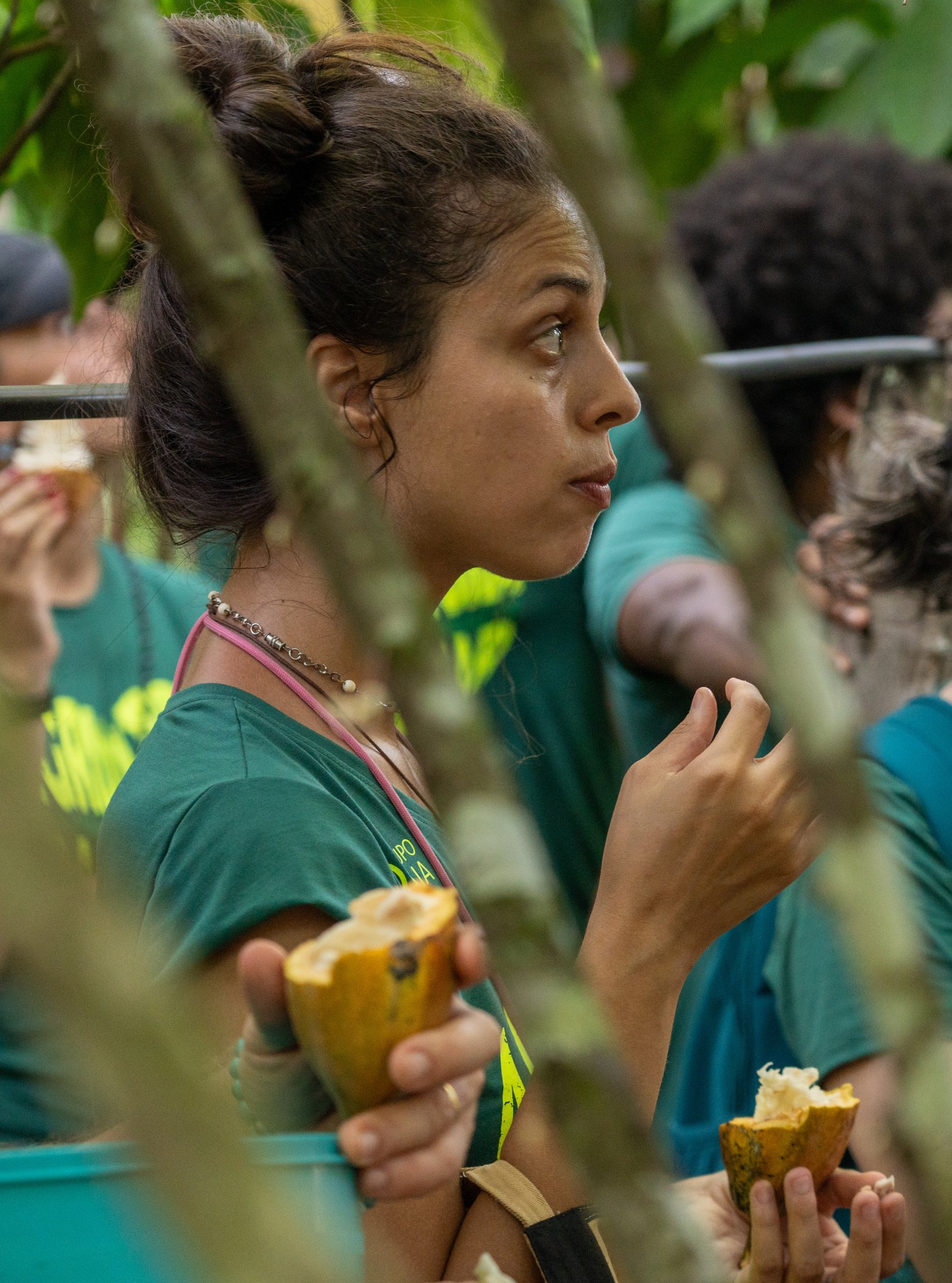 Registro de quando provei o sabor do cacau